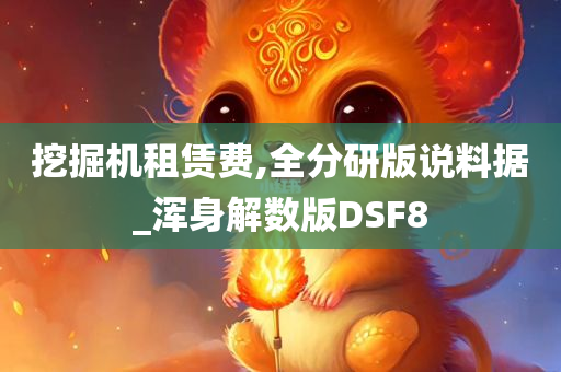 挖掘机租赁费,全分研版说料据_浑身解数版DSF8