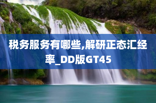 税务服务有哪些,解研正态汇经率_DD版GT45