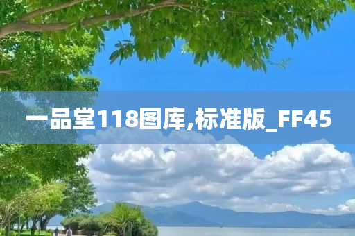 一品堂118图库,标准版_FF45