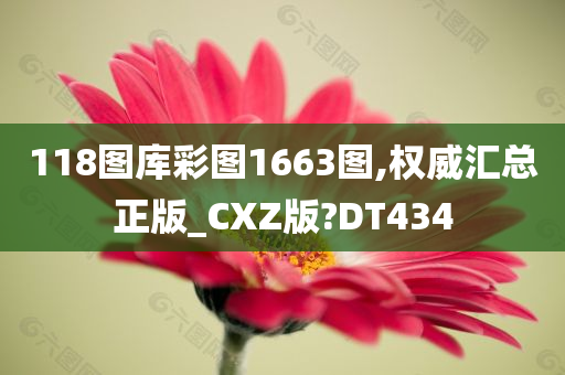 118图库彩图1663图,权威汇总正版_CXZ版?DT434