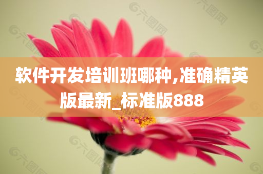 软件开发培训班哪种,准确精英版最新_标准版888