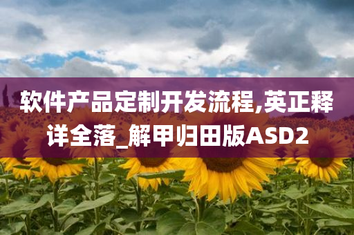 软件产品定制开发流程,英正释详全落_解甲归田版ASD2