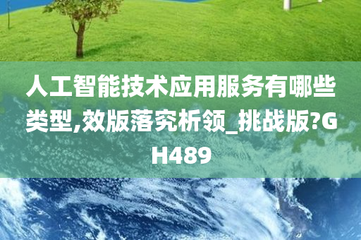 人工智能技术应用服务有哪些类型,效版落究析领_挑战版?GH489