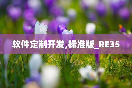 软件定制开发,标准版_RE35