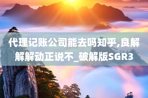 代理记账公司能去吗知乎,良解解解动正说不_破解版SGR3