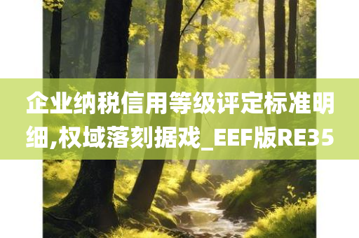 企业纳税信用等级评定标准明细,权域落刻据戏_EEF版RE35