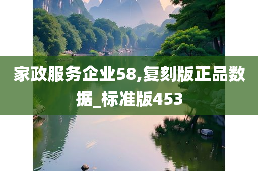 家政服务企业58,复刻版正品数据_标准版453