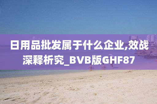 日用品批发属于什么企业,效战深释析究_BVB版GHF87