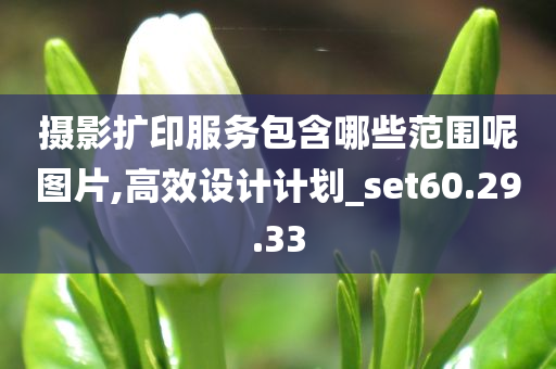 摄影扩印服务包含哪些范围呢图片,高效设计计划_set60.29.33