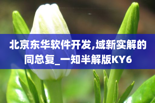 北京东华软件开发,域新实解的同总复_一知半解版KY6