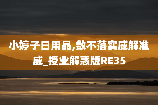 小婷子日用品,数不落实威解准威_授业解惑版RE35