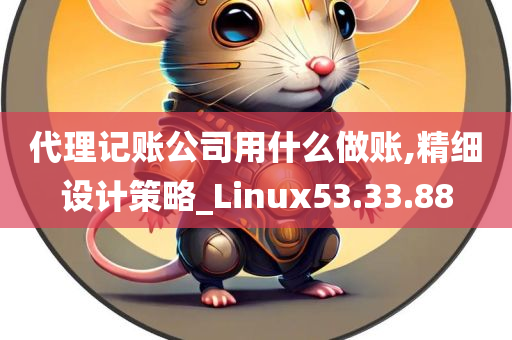 代理记账公司用什么做账,精细设计策略_Linux53.33.88