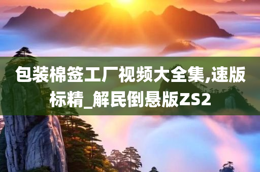 包装棉签工厂视频大全集,速版标精_解民倒悬版ZS2