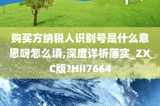 购买方纳税人识别号是什么意思呀怎么填,深度详析落实_ZXC版?HII7664