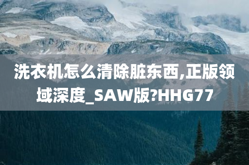 洗衣机怎么清除脏东西,正版领域深度_SAW版?HHG77