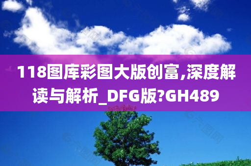 118图库彩图大版创富,深度解读与解析_DFG版?GH489