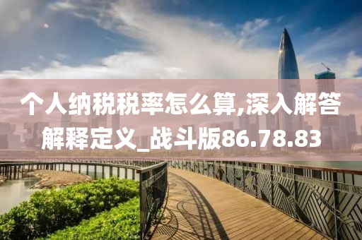 个人纳税税率怎么算,深入解答解释定义_战斗版86.78.83