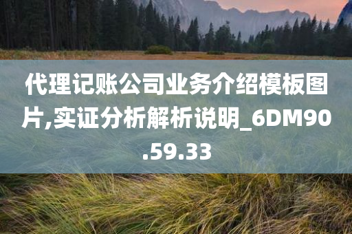 代理记账公司业务介绍模板图片,实证分析解析说明_6DM90.59.33