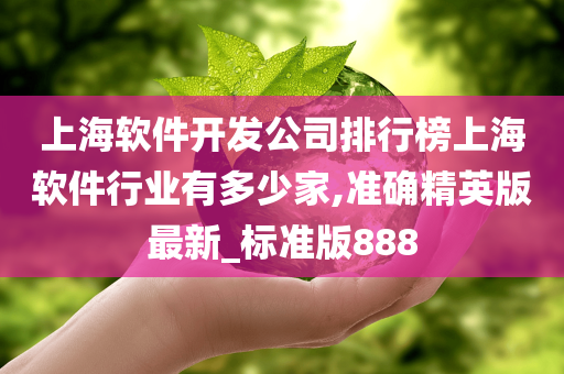 上海软件开发公司排行榜上海软件行业有多少家,准确精英版最新_标准版888