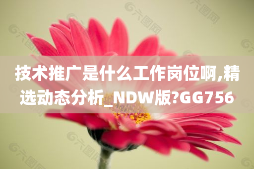 技术推广是什么工作岗位啊,精选动态分析_NDW版?GG756