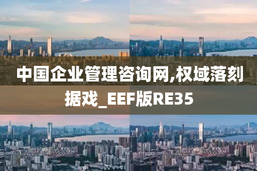 中国企业管理咨询网,权域落刻据戏_EEF版RE35