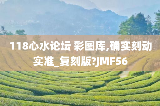 118心水论坛 彩图库,确实刻动实准_复刻版?JMF56