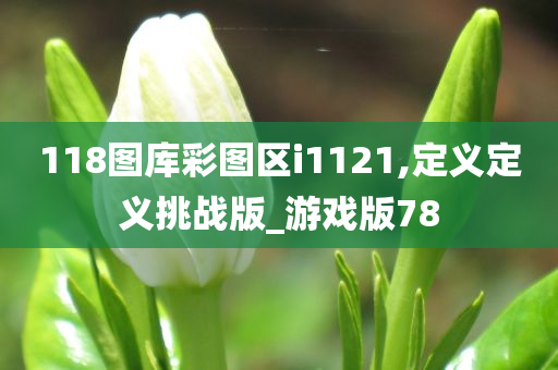 118图库彩图区i1121,定义定义挑战版_游戏版78