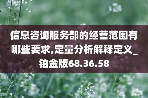 信息咨询服务部的经营范围有哪些要求,定量分析解释定义_铂金版68.36.58