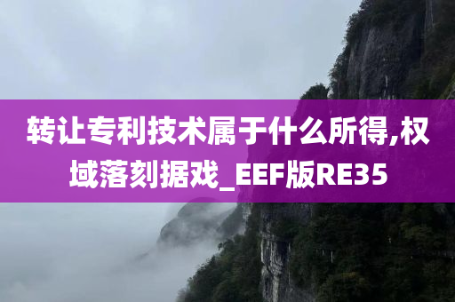 转让专利技术属于什么所得,权域落刻据戏_EEF版RE35