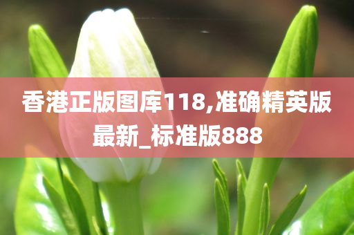 香港正版图库118,准确精英版最新_标准版888