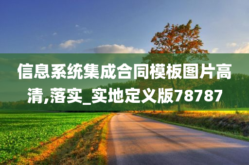 信息系统集成合同模板图片高清,落实_实地定义版78787