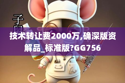 技术转让费2000万,确深版资解品_标准版?GG756