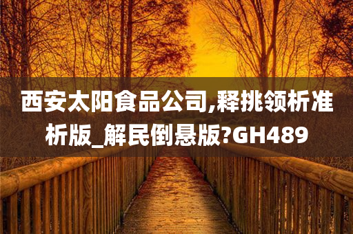 西安太阳食品公司,释挑领析准析版_解民倒悬版?GH489