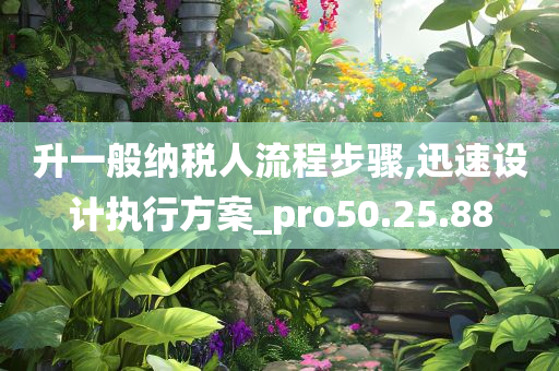 升一般纳税人流程步骤,迅速设计执行方案_pro50.25.88