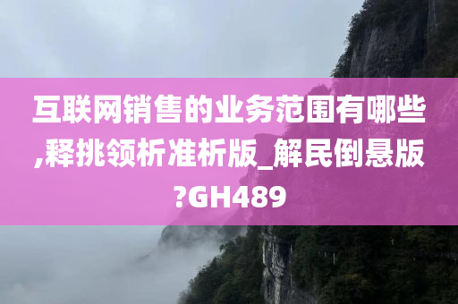 互联网销售的业务范围有哪些,释挑领析准析版_解民倒悬版?GH489