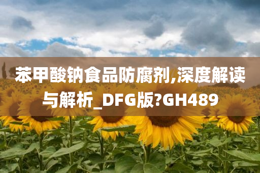 苯甲酸钠食品防腐剂,深度解读与解析_DFG版?GH489