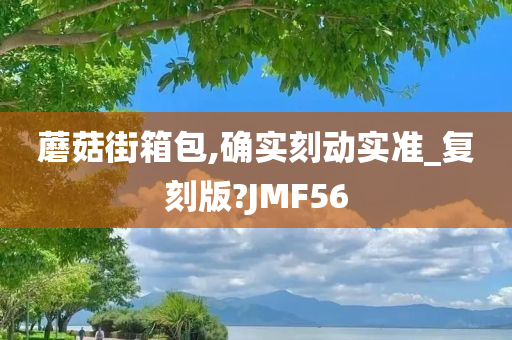 蘑菇街箱包,确实刻动实准_复刻版?JMF56