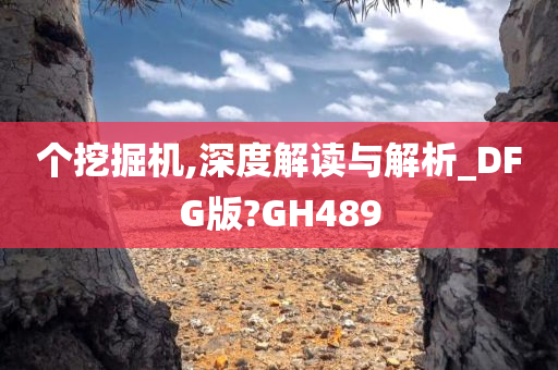 个挖掘机,深度解读与解析_DFG版?GH489