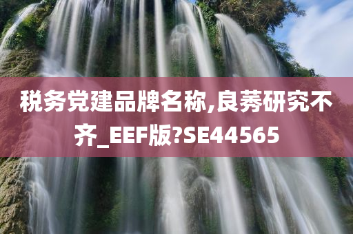 税务党建品牌名称,良莠研究不齐_EEF版?SE44565