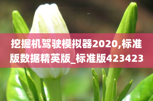 挖掘机驾驶模拟器2020,标准版数据精英版_标准版423423