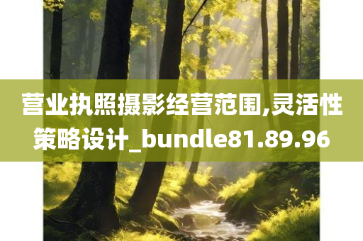 营业执照摄影经营范围,灵活性策略设计_bundle81.89.96