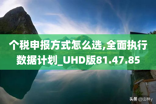 个税申报方式怎么选,全面执行数据计划_UHD版81.47.85