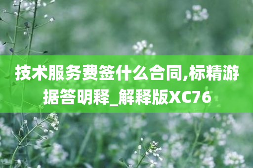 技术服务费签什么合同,标精游据答明释_解释版XC76