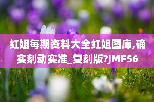 红姐每期资料大全红姐图库,确实刻动实准_复刻版?JMF56