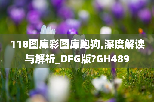 118图库彩图库跑狗,深度解读与解析_DFG版?GH489