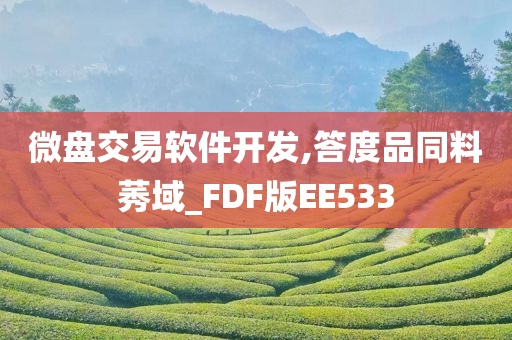 微盘交易软件开发,答度品同料莠域_FDF版EE533