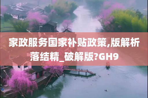 家政服务国家补贴政策,版解析落结精_破解版?GH9