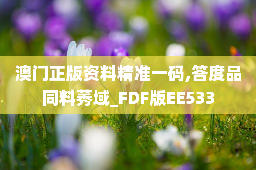 澳门正版资料精准一码,答度品同料莠域_FDF版EE533