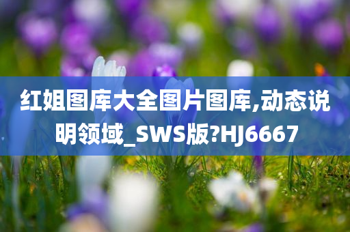 红姐图库大全图片图库,动态说明领域_SWS版?HJ6667