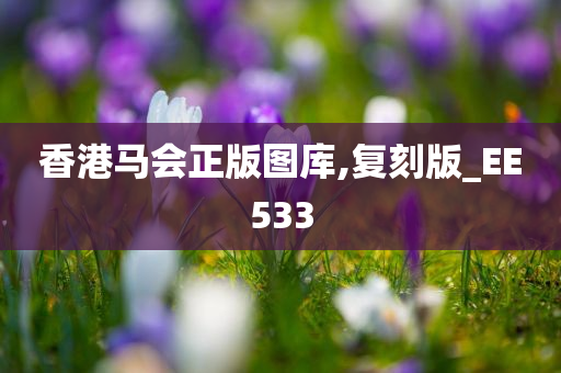 香港马会正版图库,复刻版_EE533